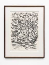 DSC1167