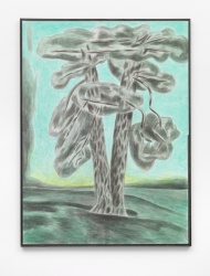 Michael Pfrommer A025