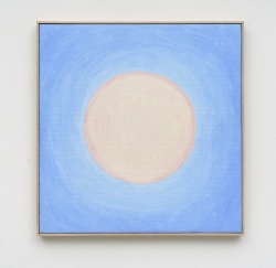 07 DSC3105