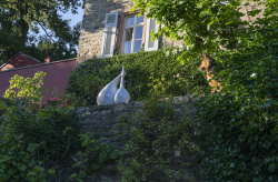 DSC2006